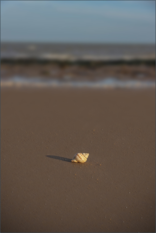 Spiral on the Sand - Ian Parker